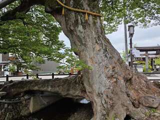 [写真]
