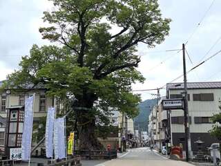 [写真]