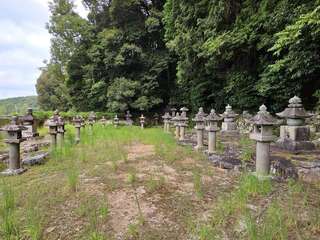 [写真]