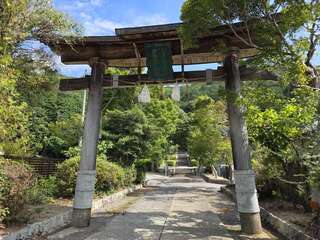 [写真]
