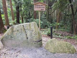 [写真]