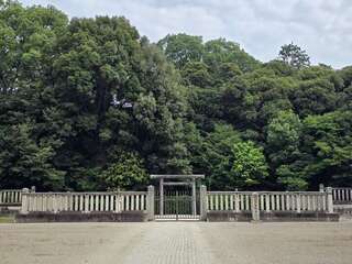 [写真]