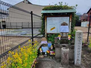 [写真]
