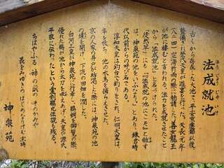 [写真]