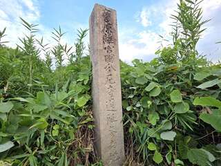 [写真]