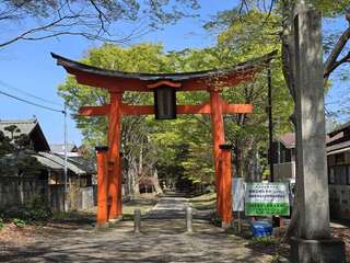 [写真]