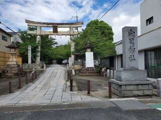 [写真]