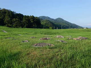 [写真]