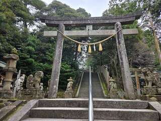 [写真]