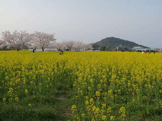 [写真]