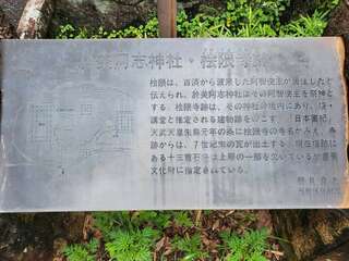 [写真]