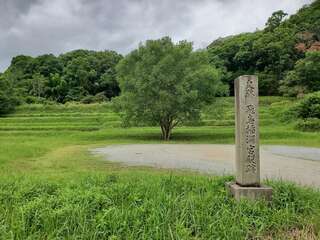 [写真]