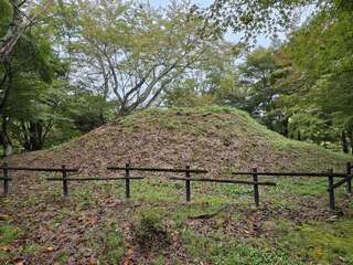 [写真]
