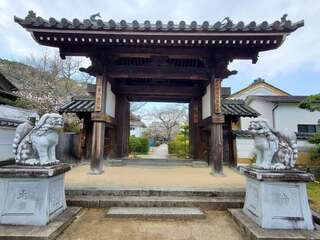 [写真]