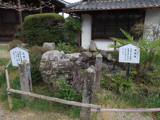 [写真]