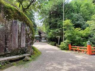 [写真]