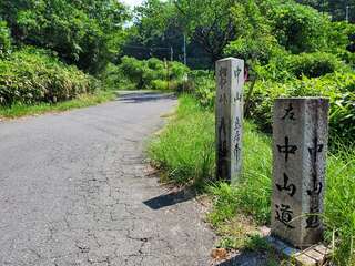 [写真]