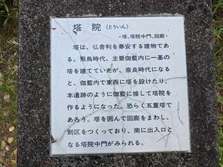 [写真]