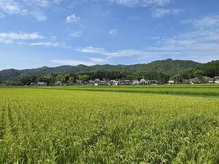 [写真]