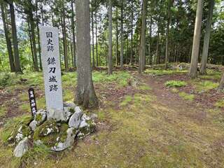 [写真]