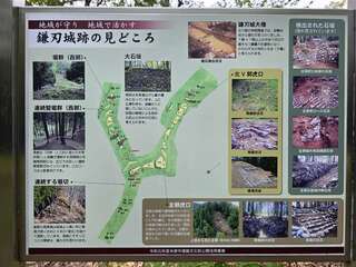[写真]