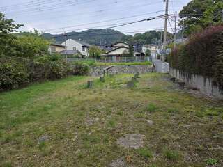 [写真]