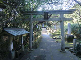 [写真]