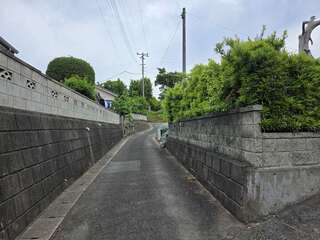 [写真]