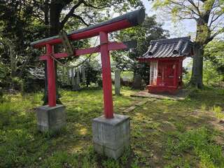 [写真]
