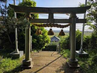 [写真]