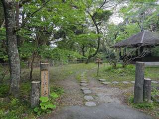 [写真]