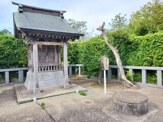 [写真]
