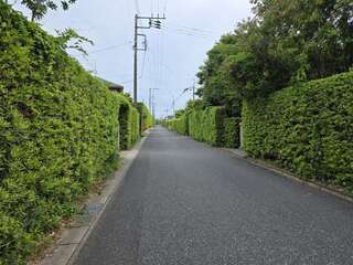 [写真]