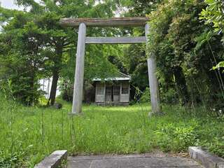 [写真]