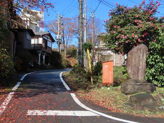 [写真]