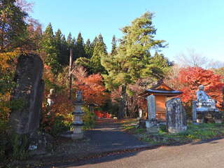 [写真]