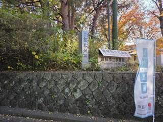 [写真]