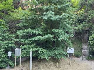 [写真]