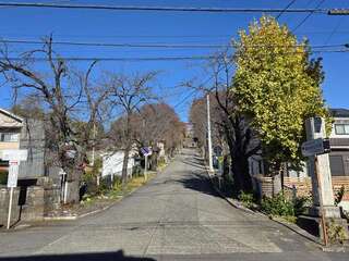 [写真]