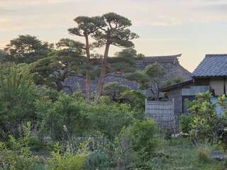 [写真]