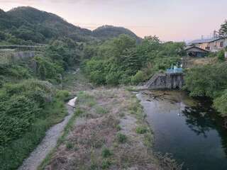 [写真]