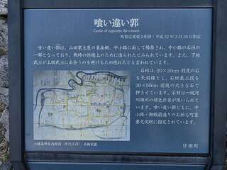 [写真]