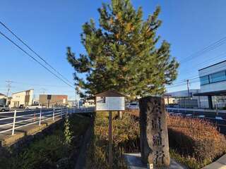 [写真]