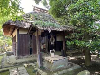 [写真]