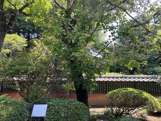 [写真]