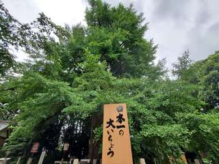 [写真]