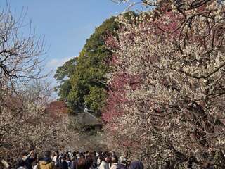[写真]