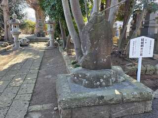 [写真]