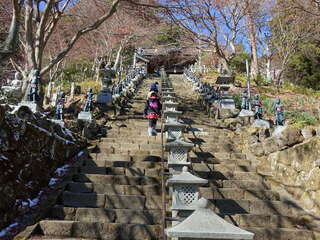 [写真]