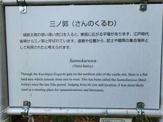 [写真]